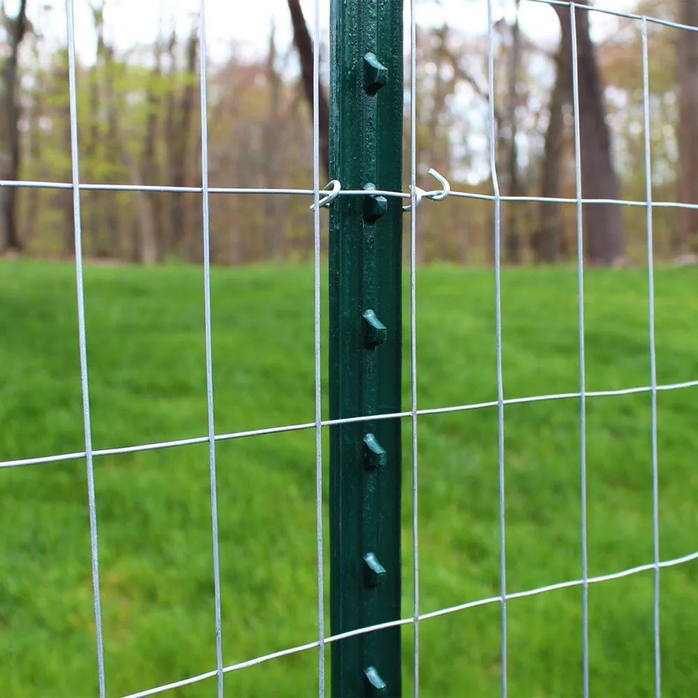 Galvanized welded wire mesh rolls and panels